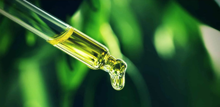 Reasons Why CBD OIL FOR PARKINSONS Is A Perfect Solution To Your Problem